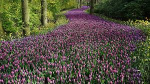 Kata kata bahasa inggris tentang alam. 25 Caption Alam Dalam Bahasa Inggris Yang Keren Banget 2021 Poskata