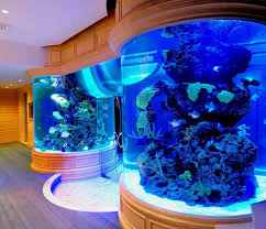 Aquarium Design Aquarium Aquarium Design Fish Tank Decorations