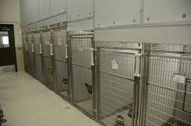 And to create an environment where our animals receive love, respect and attention. Animal Care Center Of Plainfield Kremer Veterinary Services