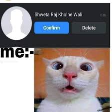 Download hd wallpapers for free. Shweta Mmemes Funny Cat Photo Download Cat Funny Pics