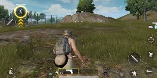 Pubg online is an online version can be played for free on the pc browser without downloading. Tamil Nadu Boy Addicted To Pubg Game Dies By Suicide The New Indian Express