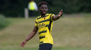 While stability was the cornerstone of norwich's success this season, watford have gone. B7bhtxkck4zicm