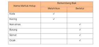 Check spelling or type a new query. R0cvph0btsy5sm