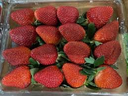 Runners are long stems with leaves that can develop their own root system where they touch moist soil. Strawberries Long Stem 4 Pkg X 16 Pcs Pkg Leonard Wholesale Home Delivery