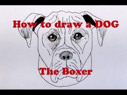 Let's learn how to draw a dog together with this easy to follow step by start by drawing an oval shape. How To Draw A Dog The Boxer Youtube