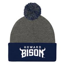 Popular majors include nursing, child development, and psychology. Howard University Bison Pom Pom Knit Beanie Cap Theology Apparel