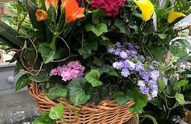 We did not find results for: Indianapolis Florist Flower Delivery By Steve S Flowers And Gifts