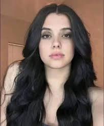 Eurasian hoopoe bird facts and behaviors