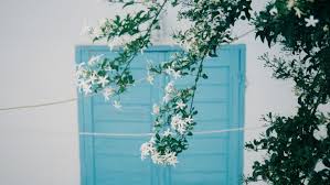 Perfect for the new gardener or seasoned vet, low maintenance garden plants like perennials are a great option for your front yard. 6 Essential Greek Myths About Plants Garden Collage Magazine