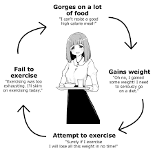 The Moemi Cycle | Scrolller