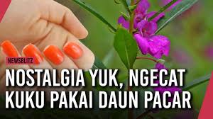 Cara mengolah dan takaran daun sirsak. Contoh Gambar Daun Untuk Mewarnai Kuku Kataucap