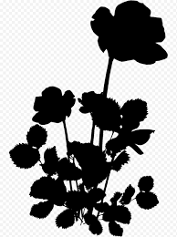 Sketsa gambar kupu kupu gambar mania sumber : Bunga Hitam Dan Putih M Hitam Putih Batang Tanaman Daun Siluet Tanaman Hitam Putih Bunga Liar Png Klipartz
