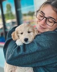 Bethany Elwell(@belwell31) • Instagram 사진 및 동영상