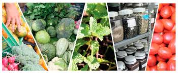 Resultado de imagen para productos agro y pecuarios, forestales y biolÃ³gicos