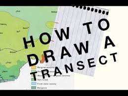 Videos Matching How To Draw A Transect Geo Skills Revolvy