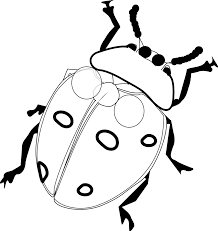 Tales of ladybug & cat noir. Free Printable Ladybug Coloring Pages For Kids