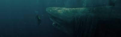 The meg is a 2018 film loosely based on the novel of the same name. Meg Amazon De Jason Statham Li Bingbing Rainn Wilson Ruby Rose Winston Chao Cliff Curtis Jessica Mcnamee Robert Taylor Olafur Darri Olafsson Masi Oka Page Kennedy Steve Alten Harry Gregson Williams Jon Turteltaub Jason