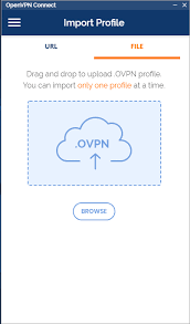 Configure And Deploy Openvpn Clients For Remote Users Untangle Support