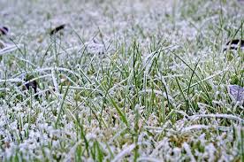 Frost is more harmful to your grass than snow, because if you walk on frosty grass the grass can be damaged. Do I Need To Water My Lawn In Winter