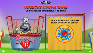 ** if your last transaction was a free chip then please make a deposit before claiming this one or you will not be able to cash out 30x number of playthroughs required $100 maximum cash out. Cool Cat Casino No Rules Bonuses Nabble Casino Bingo Casino Cool Cats Cool Stuff