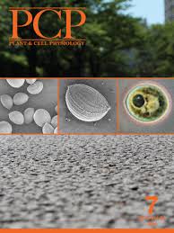 We can put registered members of publons' reviewer community in touch with partnered journals they would like to review for. Pks Activities And Biosynthesis Of Cannabinoids And Flavonoids In Cannabis Sativa L Plants Freedom Wares