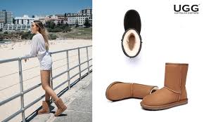 Minimum clearance price $109.98 $109.98. Up To 65 Off Australian Shepherd Classic Uggs Groupon