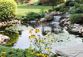 Ein feuchtbiotop bietet idealen lebensraum für viele verschiedene tiere, wie beispielsweise amphibien und insekten, und wertet ihren garten deutlich auf. Teich Anlegen Umfassende Tipps Fur Das Eigene Biotop Gibt Ihnen Obi