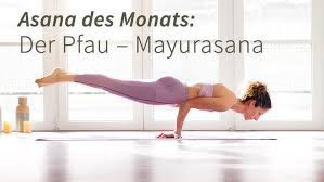 Maybe you would like to learn more about one of these? Asana Des Monats Pfau Mayurasana