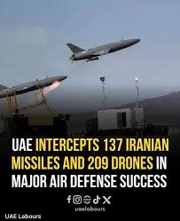 Image result for Delta 209