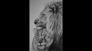 Download wallpaper 1080x1920 lion, female, lion cubs, family, africa, predators samsung galaxy s4, s5, note, sony xperia z, z1, z2, z3, htc one, lenovo vibe hd background. Male And Female Lion Drawing Time Lapse Youtube