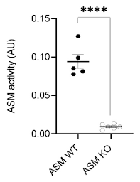 Album in brasilien and me u. Cells Free Full Text Acid Sphingomyelinase Impacts Canonical Transient Receptor Potential Channels 6 Trpc6 Activity In Primary Neuronal Systems Html