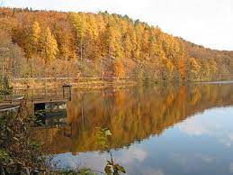 Rastplätze und gewohnheiten von welsen im herbst, besonderheiten beim fangen von schnurrbart und allesfressern. Herbst Wikipedia