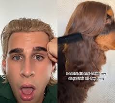 I envy his hair! #reels #duet #bradmondo #hairinspo #cutedog #hairlove