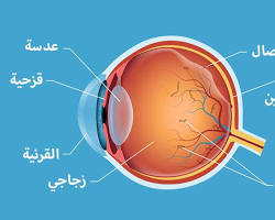 صورة الجسم الزجاجي