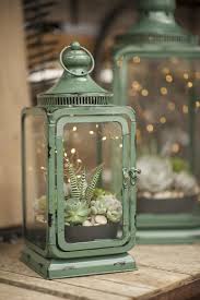 Wedding Decor Succulents Lanterns Fairy Lights Centerpieces Succulents Succulent Terrarium Succulents Garden