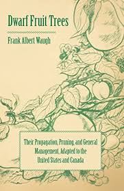Jun 04, 2021 · celestial is a dwarf variety bearing small sweet fruits. Dwarf Fruit Trees Their Propagation Pruning And General Management Adapted To The United States And Canada Ebook Waugh F A Amazon In Kindle Store