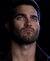 The Bridge of Silver Wings by John Wiltshire