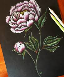 A beautiful flower always makes us smile. Flower Drawing Ideas With Colour Pencils Happy Emotion