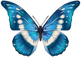 Butterfly Blue Png Clip Art Image Gallery Yopriceville High Quality Images And Transparent Png Butterfly Art Drawing Butterfly Clip Art Butterfly Painting