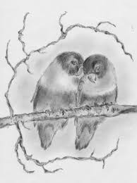 Lovebirds Birds Drawings Pictures Drawings Ideas For Kids Easy And Simple Bird drawings doodle drawings cartoon drawings easy drawings the block form design design design groundhog day penny black. lovebirds birds drawings pictures