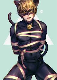 Wallpapers phone cat noir miraculous chat ladybug hd tumblr background adrien tales bug lady ladybugs face memes cartoon noir ladybug chat miraculous wallpapers background cat hd fanpop desktop wallpapersafari fanart fan tablet deviantart. Chat Noir Ladybug Adrien Agreste Zerochan Anime Image Board