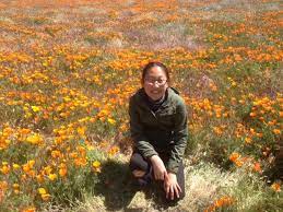Antelope valley poppy reserve flowers. Antelope Valley Poppy Reserve The Day Creek Howl