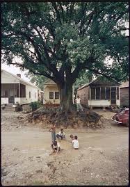 Looking for more locations in mobile, al? Gordon Parks At Atlanta S High Museum Of Art Southern Spaces