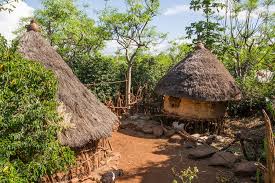 Konso Village Enclosure | Konso villages are very complex af… | Flickr