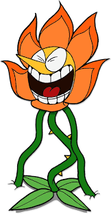 Cagney Carnation Carnation Flower Carnations Drawings