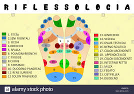 Reflexology Chart Stock Photos Reflexology Chart Stock