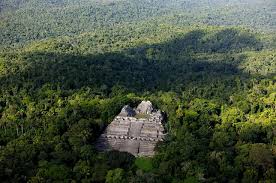 Mayan ruins ~ caracol, cayo, belize. Caracol Mayan Site Custom Belize Vacations