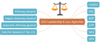 Doj Org Chart Detailed Example Key Unknown Factors Org