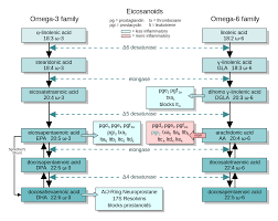 Pin On Functional Medicine Study