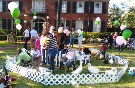 Pin On Farm Birthday Party